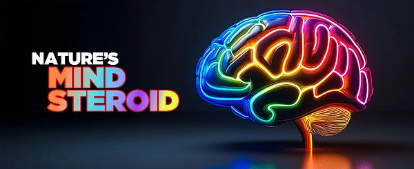 Nutraceuticals for Increased Brain Power