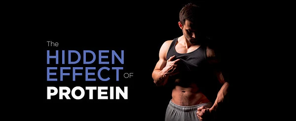 Lifelong Leanness: The Protein Factor
